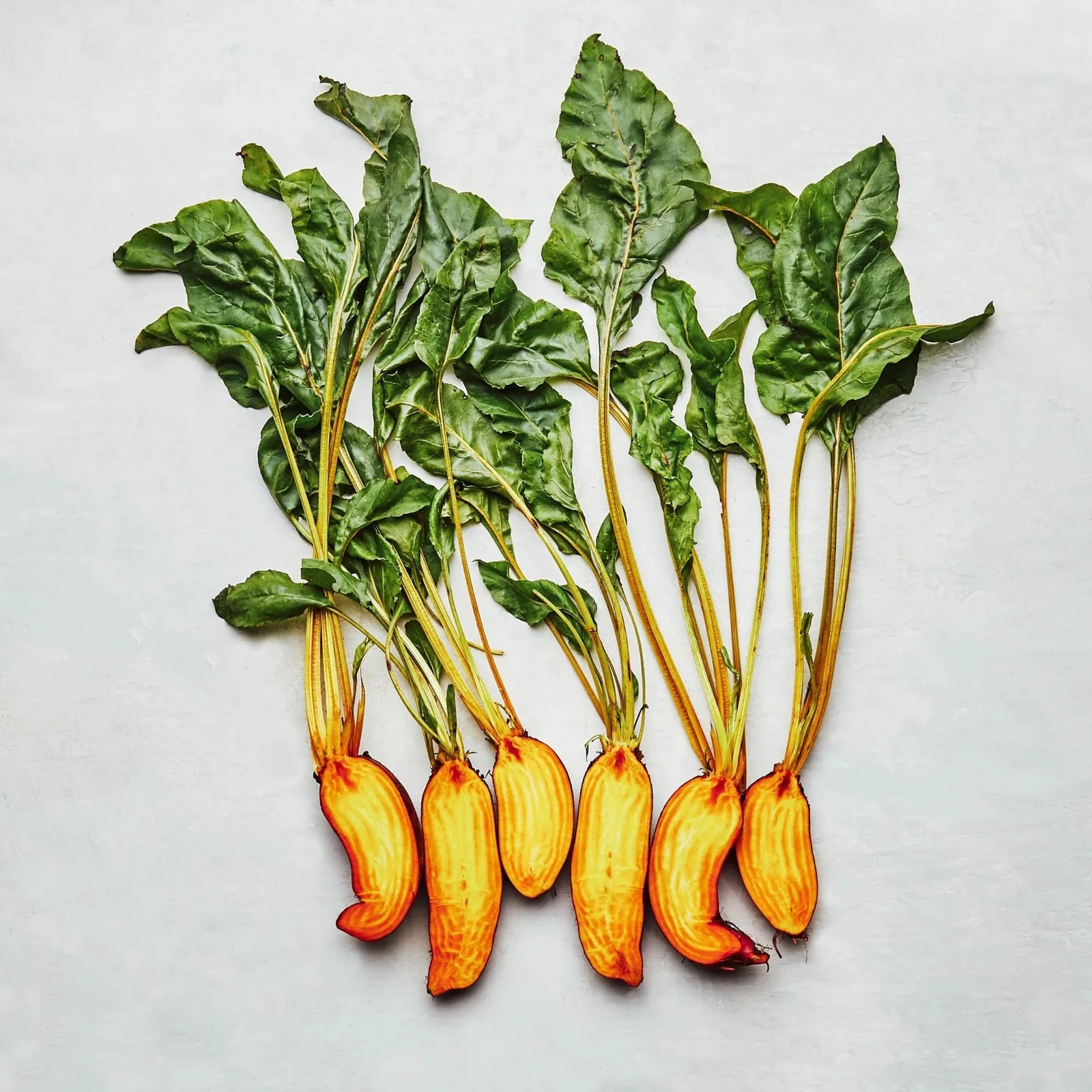 Badger Flame beets with their leaves
