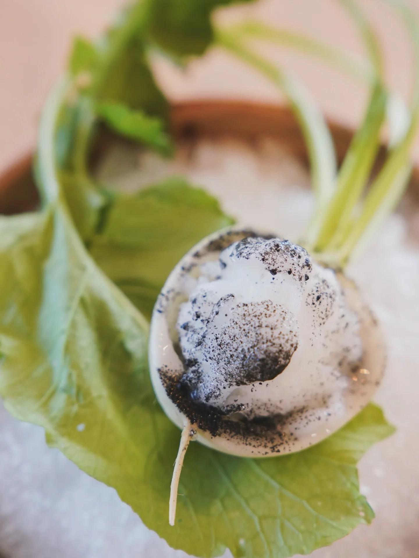 Japanese turnip grown by Mestiza de Indias and served by a collaborating chef